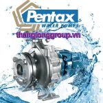 Máy bơm công nghiệp trục rời Pentax CA-CAX Series